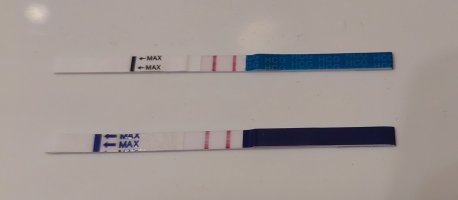 20250515_073349.jpg 20250515_073349.jpg