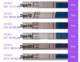 Screenshot_20250515_081106_Premom.jpg Screenshot_20250515_081106_Premom.jpg