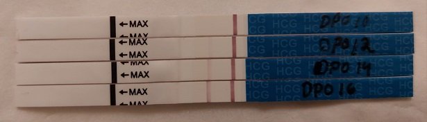 TESTI 2025-05-17.jpg