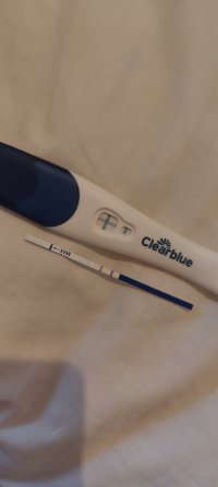 1000035599.jpg 1000035599.jpg