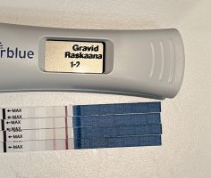 IMG_7992.jpeg IMG_7992.jpeg