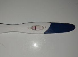 1000007292.jpg 1000007292.jpg