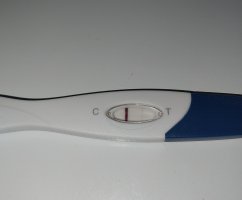 1000007192.jpg 1000007192.jpg