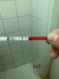 IMG_4435.jpeg IMG_4435.jpeg