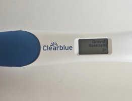 1000139252.jpg 1000139252.jpg