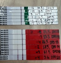 IMG_3472.jpeg IMG_3472.jpeg