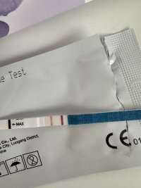 IMG_8568.jpeg IMG_8568.jpeg