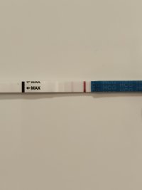 1000026148.jpg 1000026148.jpg