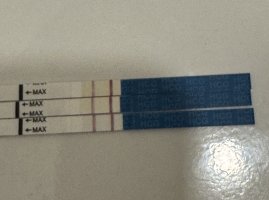 IMG_8633.jpeg IMG_8633.jpeg