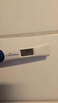 1000089740.jpg 1000089740.jpg