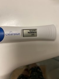 IMG_5817.jpeg IMG_5817.jpeg