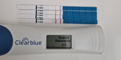 1000049745.jpg 1000049745.jpg