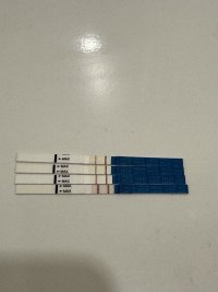 IMG_8651.jpeg IMG_8651.jpeg