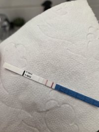 1000050809.jpg 1000050809.jpg