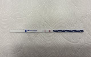 IMG_4591.jpeg IMG_4591.jpeg