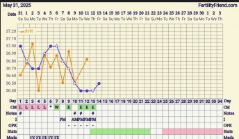 Screenshot_20250613_063418_FF App.jpg