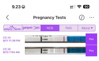 IMG_0165.jpeg IMG_0165.jpeg