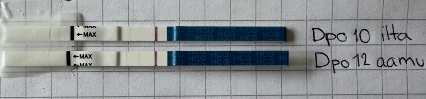 IMG_0176.jpeg IMG_0176.jpeg