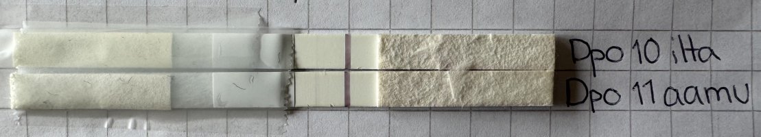 IMG_0175.jpeg IMG_0175.jpeg