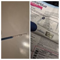 IMG_20250609_141636-COLLAGE.jpg IMG_20250609_141636-COLLAGE.jpg