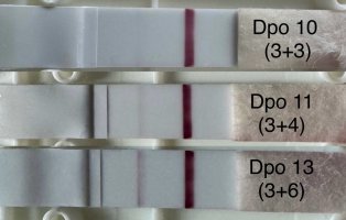 3E86D5F4-AE78-489D-89EE-94F67CE0FB52.jpeg 3E86D5F4-AE78-489D-89EE-94F67CE0FB52.jpeg