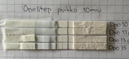 IMG_0252.jpeg IMG_0252.jpeg