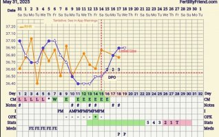 Screenshot_20250618_060654_FF App.jpg