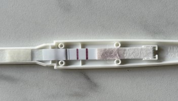 IMG_0410.jpeg IMG_0410.jpeg