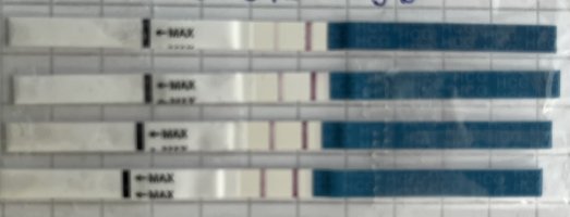 IMG_9851.jpeg IMG_9851.jpeg