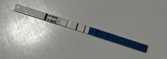 IMG_5168.jpeg IMG_5168.jpeg