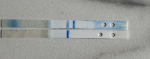 IMG_0452.jpeg IMG_0452.jpeg