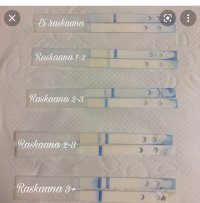 IMG_0453.jpeg IMG_0453.jpeg