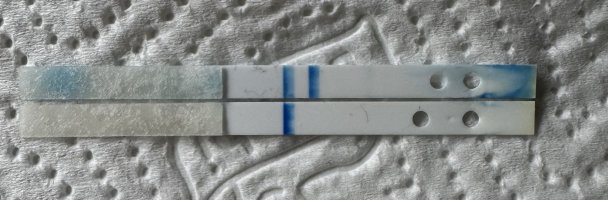 IMG_0460.jpeg IMG_0460.jpeg