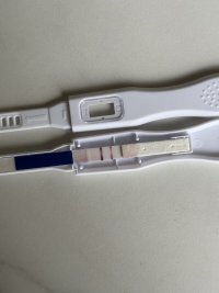 IMG_0473.jpeg IMG_0473.jpeg