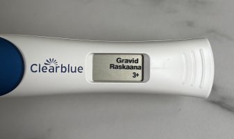 IMG_0485.jpeg IMG_0485.jpeg