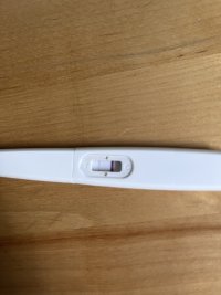 IMG_2163.jpeg IMG_2163.jpeg