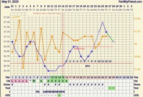 Screenshot_20250628_045710_FF App.jpg