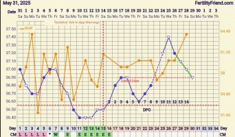 Screenshot_20250629_060817_FF App.jpg