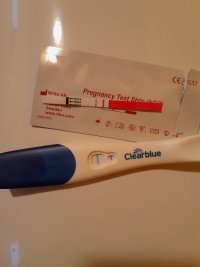 1000050595.jpg 1000050595.jpg