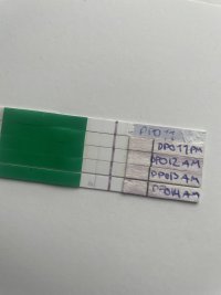 IMG_8553.jpeg IMG_8553.jpeg