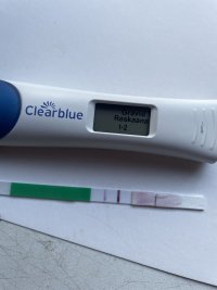 IMG_8560.jpeg IMG_8560.jpeg