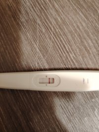 1000040078.jpg 1000040078.jpg