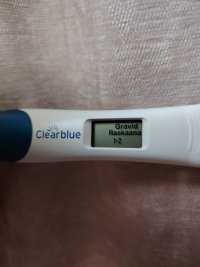 1000040068.jpg 1000040068.jpg