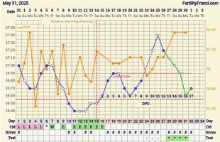 Screenshot_20250701_090629_FF App.jpg