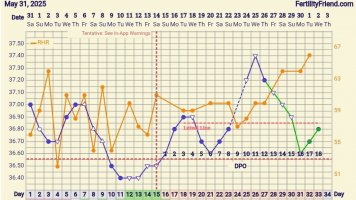 Screenshot_20250702_111800_FF App.jpg