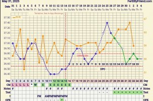 Screenshot_20250704_061654_FF App.jpg