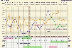 Screenshot_20250706_081453_FF App.jpg