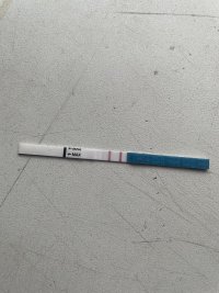 IMG_8652.jpeg IMG_8652.jpeg