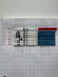 IMG_6736.jpeg IMG_6736.jpeg