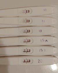 1000040614.jpg 1000040614.jpg